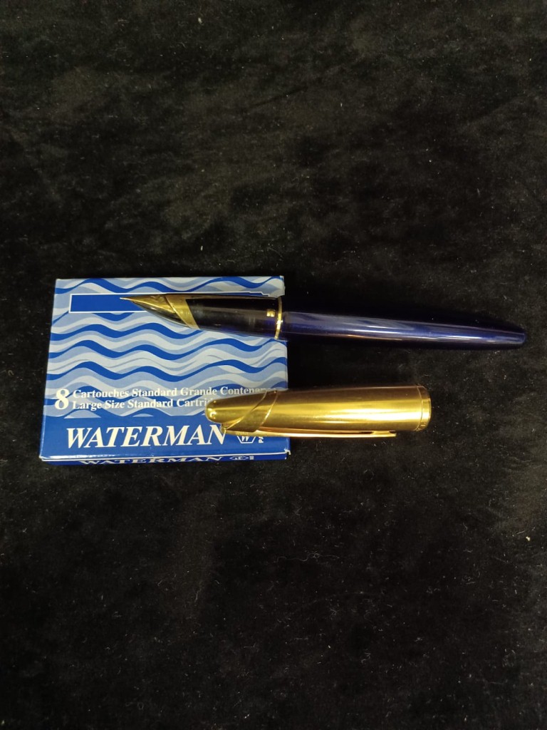 Penna Stilografica Waterman Pe